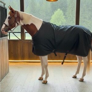 Big D Horse sheet Blanket